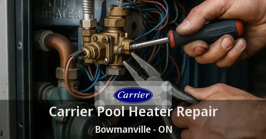 Carrier Pool Heater Repair Bowmanville - ON